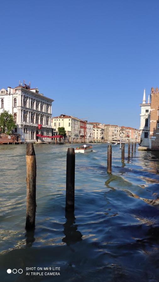 Alloggi Serena Venedig Exteriör bild